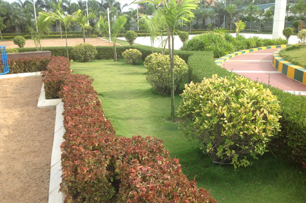 chennai gardening, chennai landscape architects, landscape in chennai, landscaping in chennai, landscape designers in chennai,